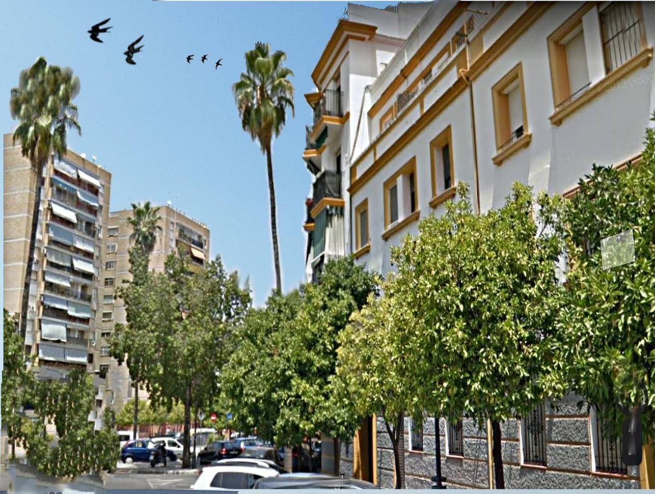 Apartamento San Juan De Dios Sevilla Exteriör bild